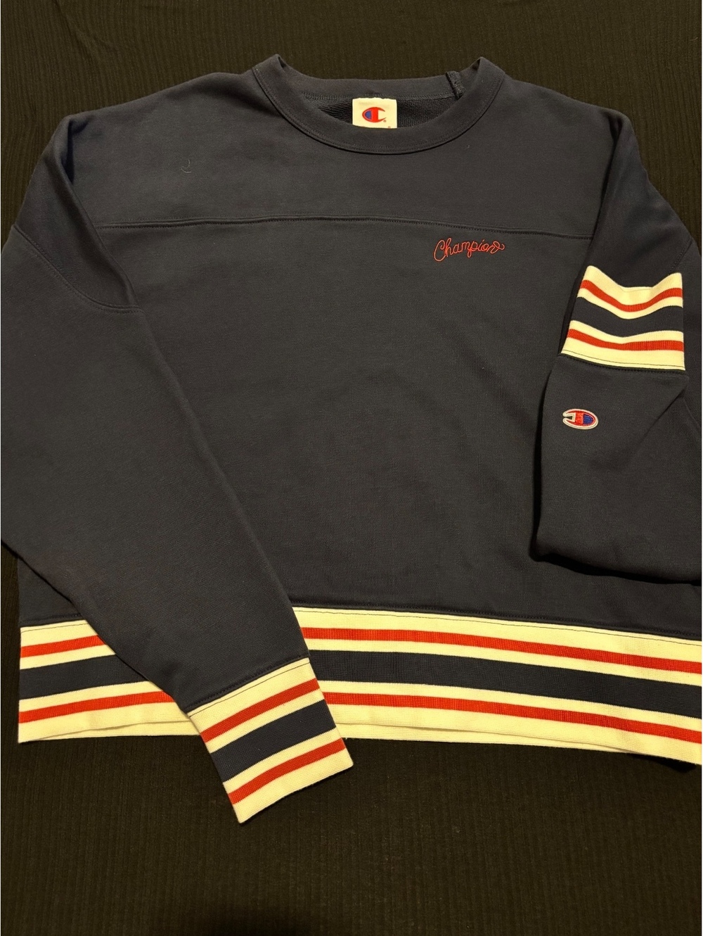 Navy Blue Champion Sweater with Embroidered Logi